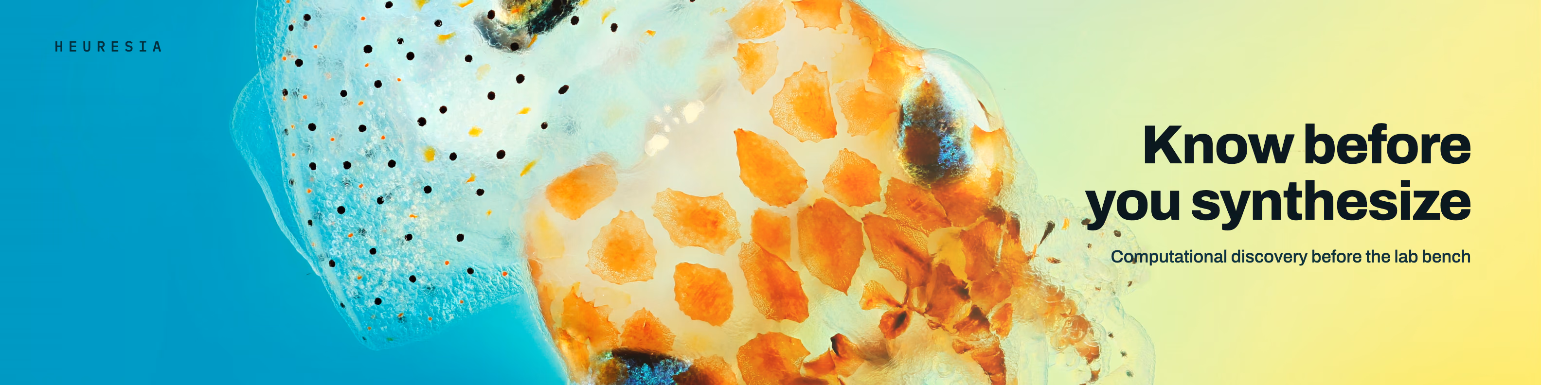 Know before you synthesize. Computational discovery before the lab bench.